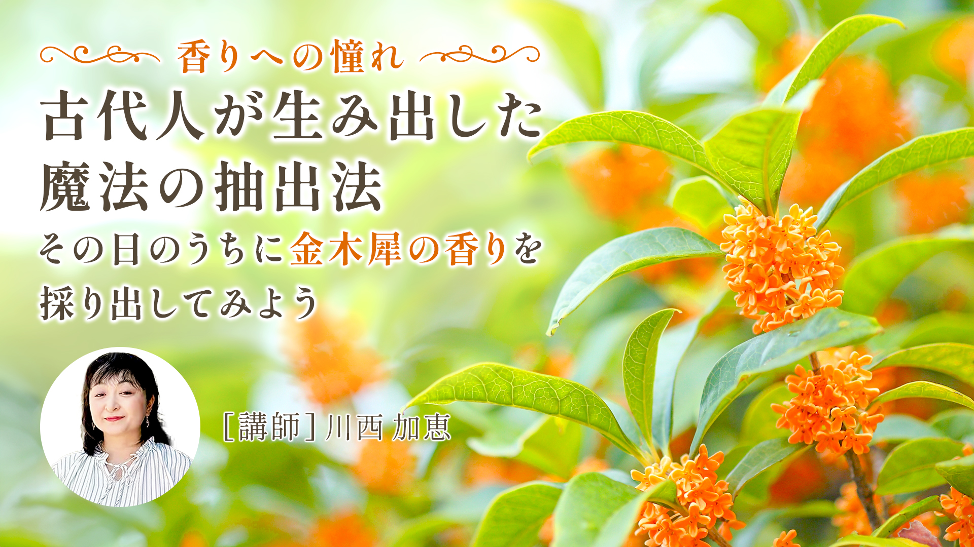 香りへの憧れ～人が生み出した魔法の抽出法
